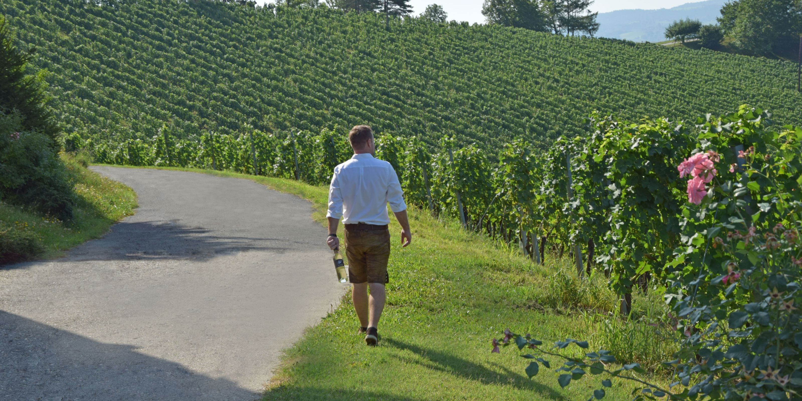 Wieser Weine Weingut Patrick im Weingarten Banner
